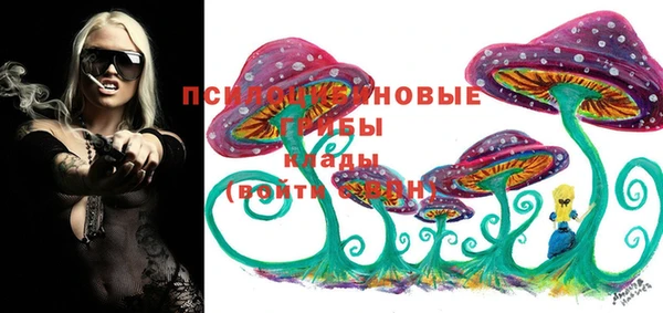 Альфа ПВП Богданович