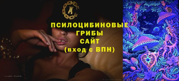 Альфа ПВП Богородицк